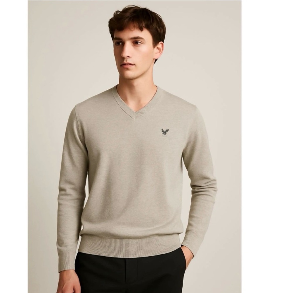 Men's American eagle heather Cream preppy Sweater V-neck long sleeve size M